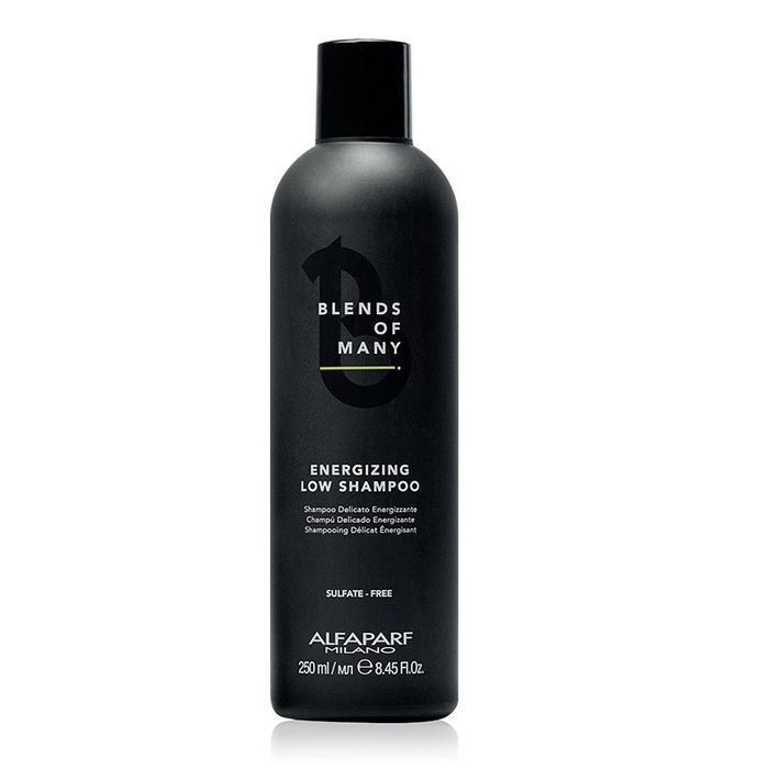 Alfaparf  energetyzujący szampon do włosów dla mężczyzn 250ml
