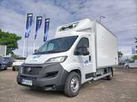 Wynajem Fiat Ducato Chłodnia/Izoterma/Kontener