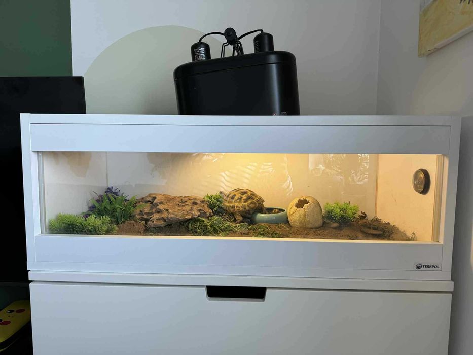 Terrarium dla żółwia 80x30x35 z lampą