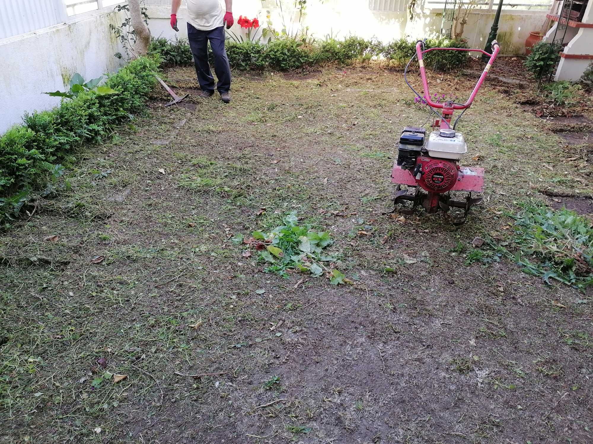 Jardinagem profesional