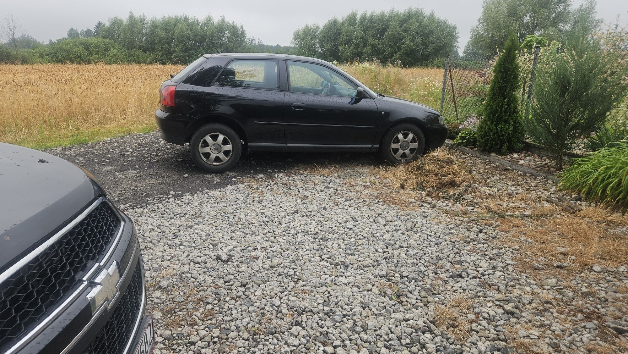 Audi a3 8l 2000 długie oplaty 1.8 t B+G