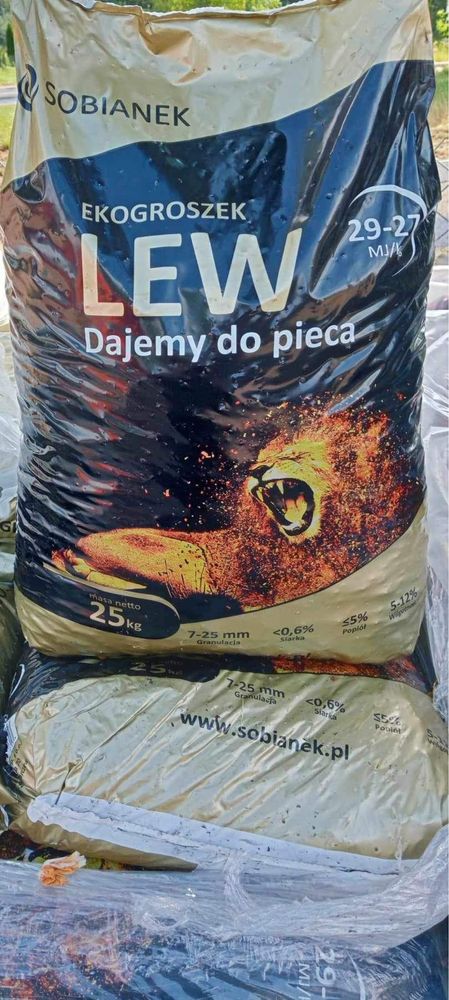 groszek sobianek lew