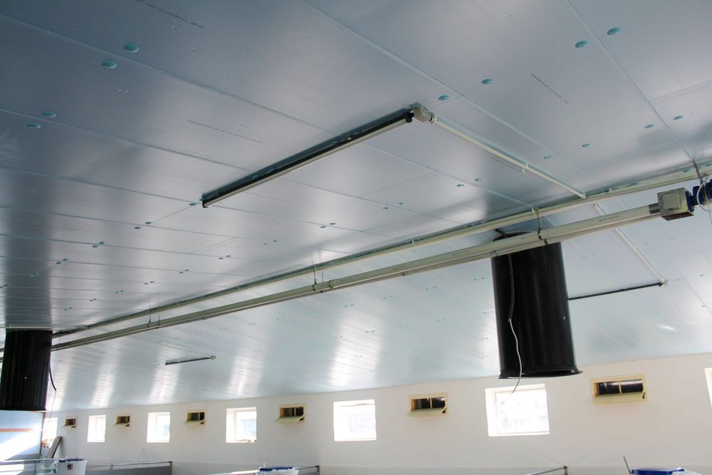 Sufit Strop Ściany do Obory Chlewni Kurnika Tuczarni Styrodur XPS AGRO