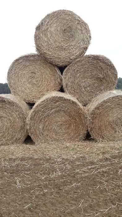 Sprzedam slome w balotach