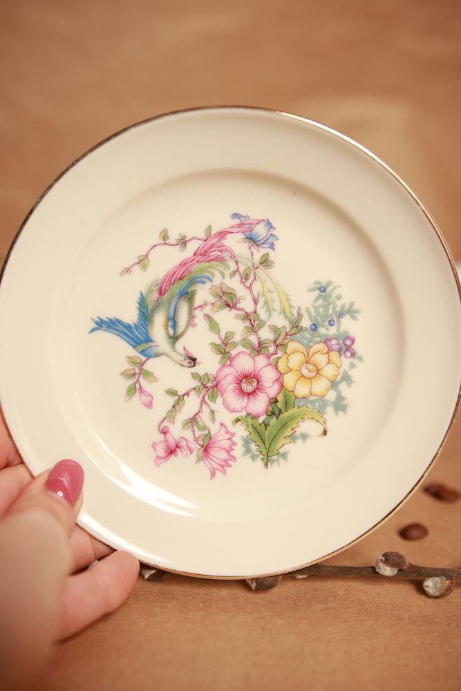 5x talerz deserowy Rosenthal Kronach porcelana rajski ptak