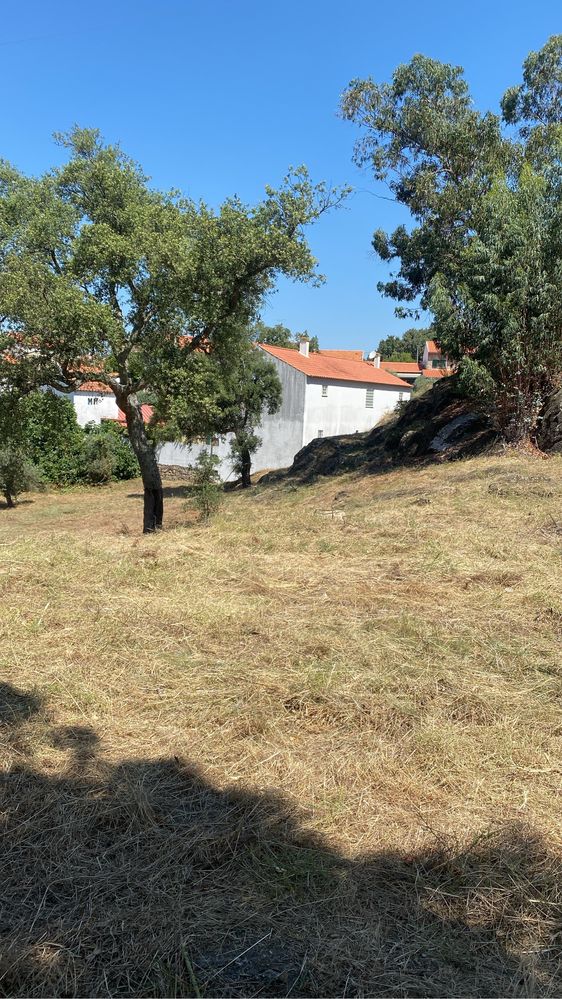 Limpezas de terrenos