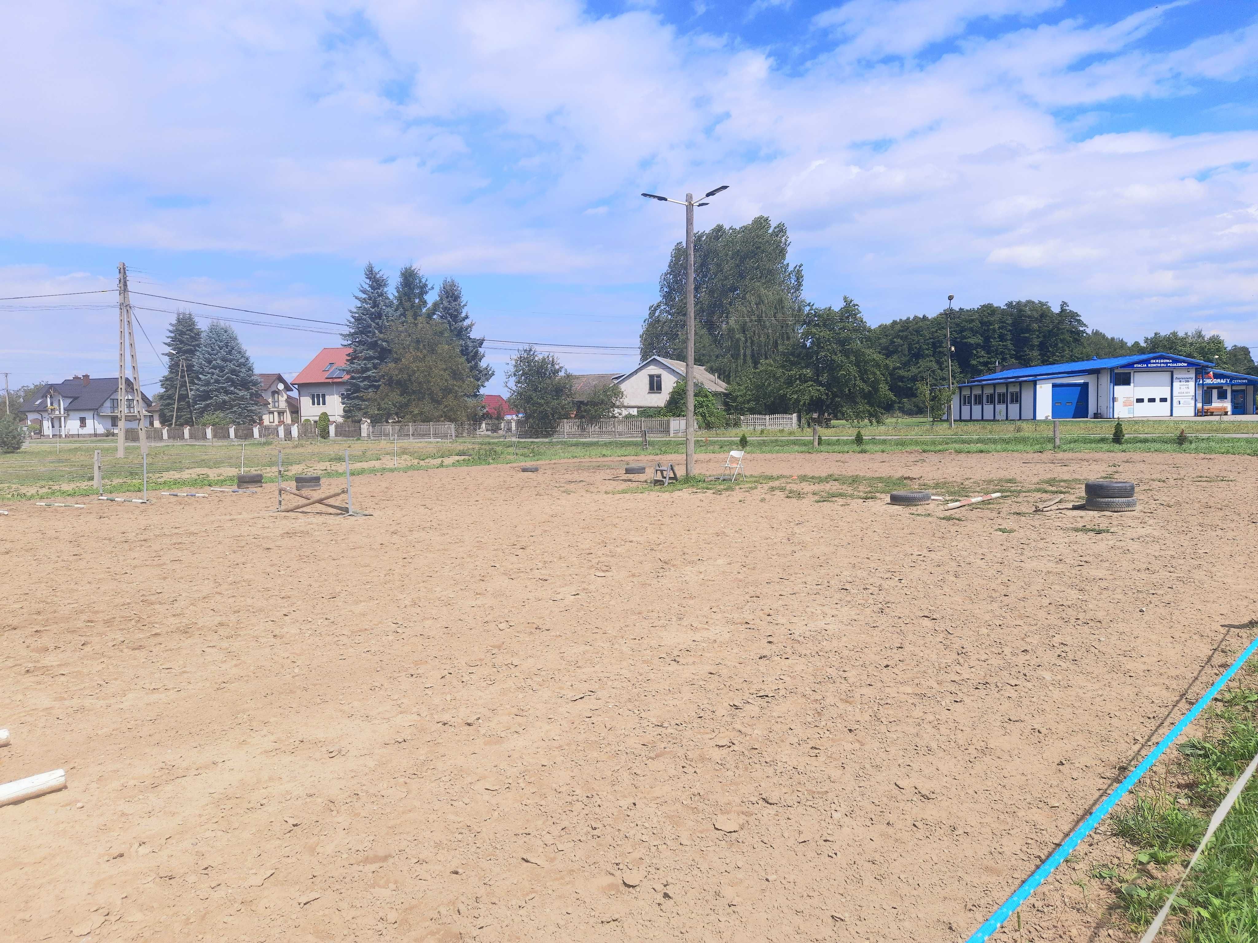 Turystyka konna wynajem pokoi Ćwików
