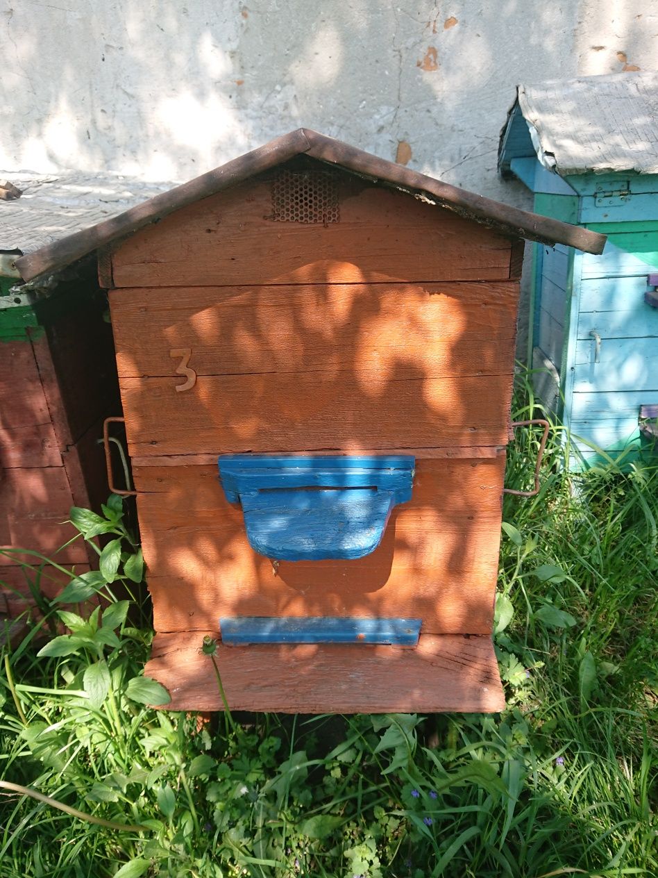 Продаж вуликів, в наявності 5