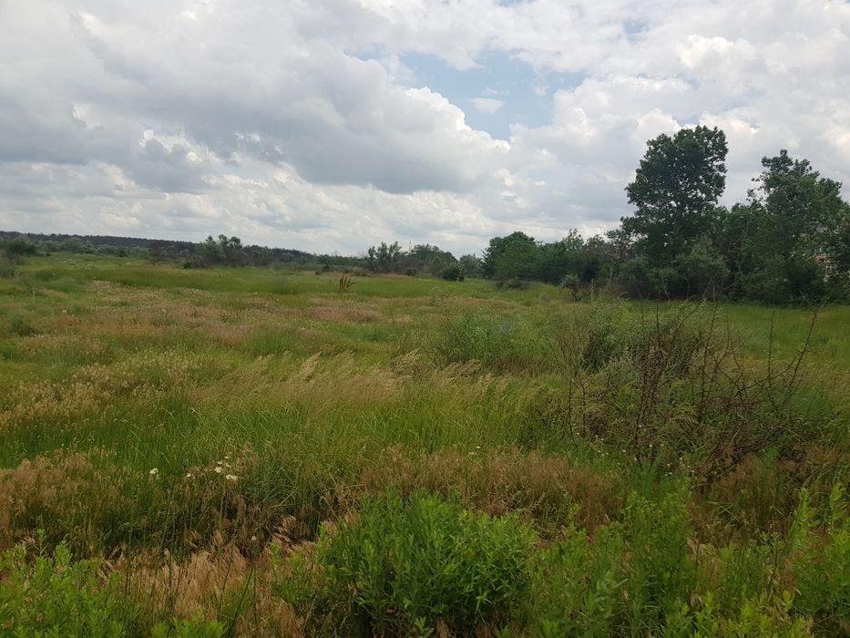 Земля в Галициново