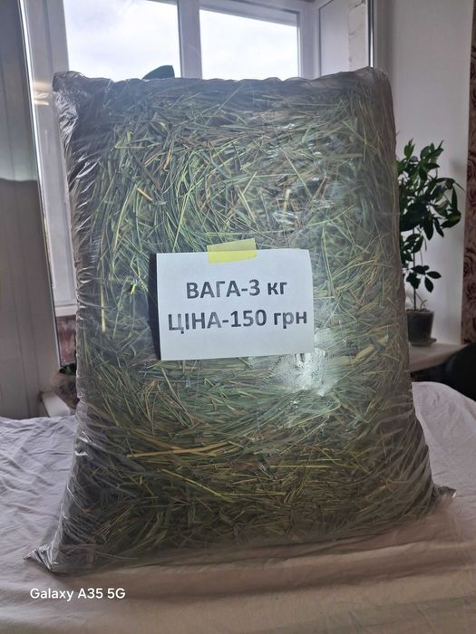 Сіно зелене для гризунів та тварин