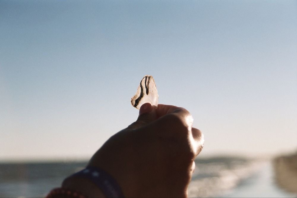 Canon eos500n (câmara analógica )
