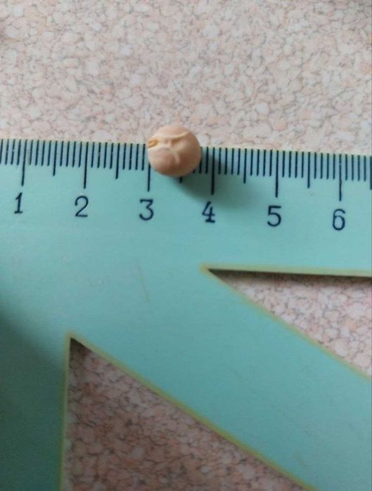 Горох для рыбалки и посадки