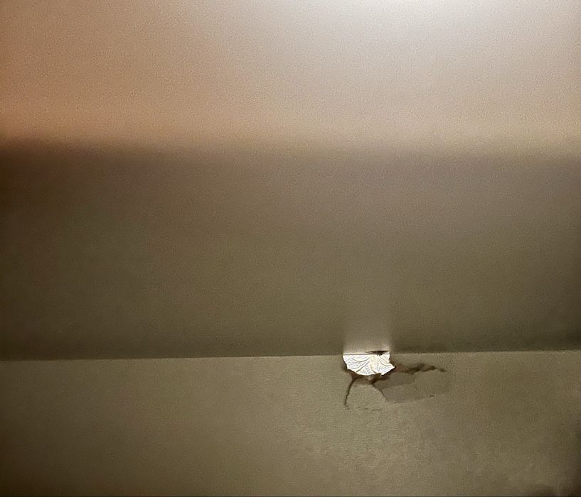 Biurko work concept Lenart Meble