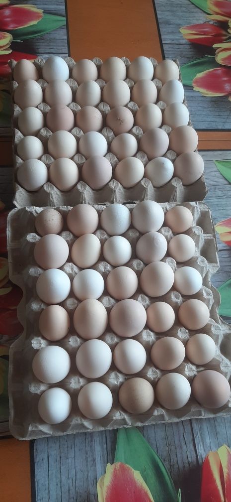Jajka, jaja XL świeże wiejskie z wolnego wybiegu na świąteczny stół.