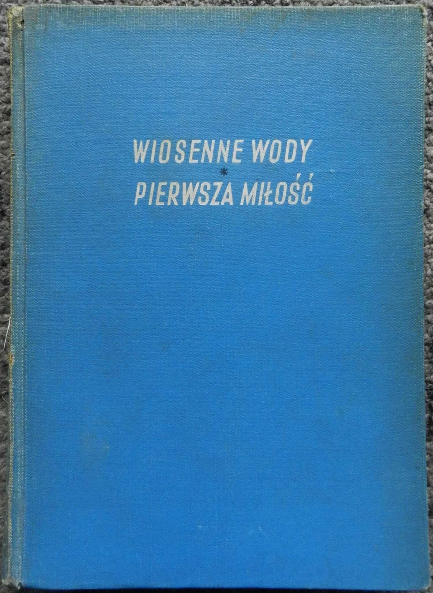 Turgieniew Iwan - Wiosenne wody, Pierwsza miłość