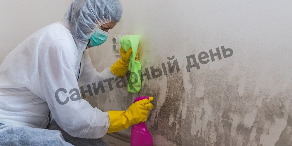 Уничтожение Плесени Знищення плісняви грибка Удалить Вывести плесень
