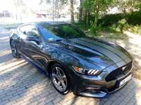 Ford Mustang Ford Mustang 3.7 - Roush, ceramika, Powerstop Z26