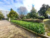Construção e Manutenção - Jardins | Terrenos | Áreas Florestais