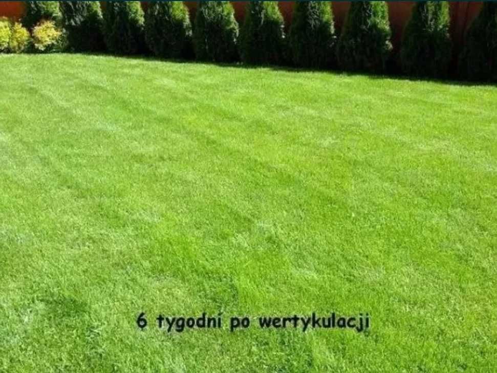 Wertykulacja trawnika, regeneracja, aeracja, nawożenie