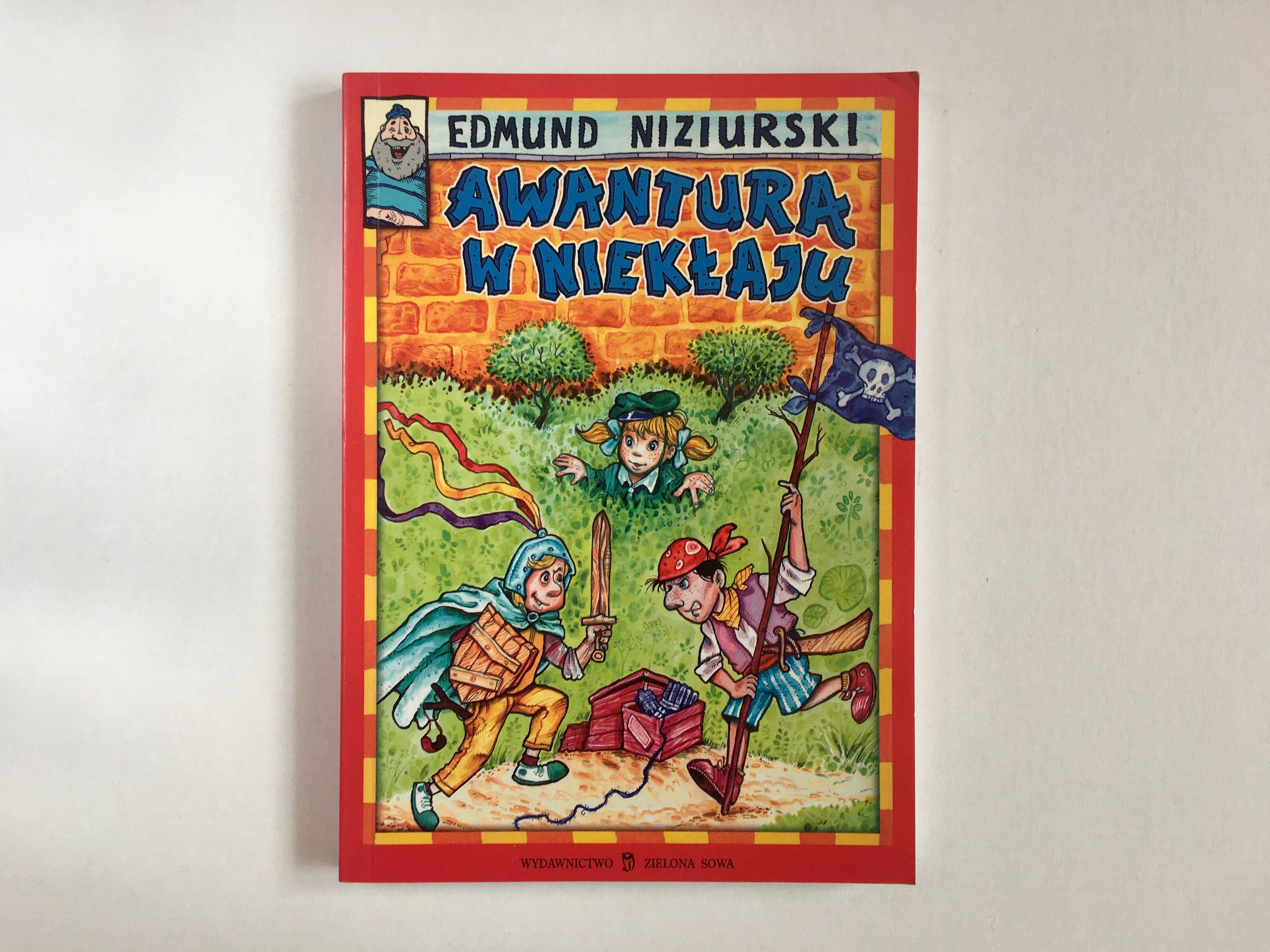 Książka "Awantura w Niekłaju" Edmund Niziurski