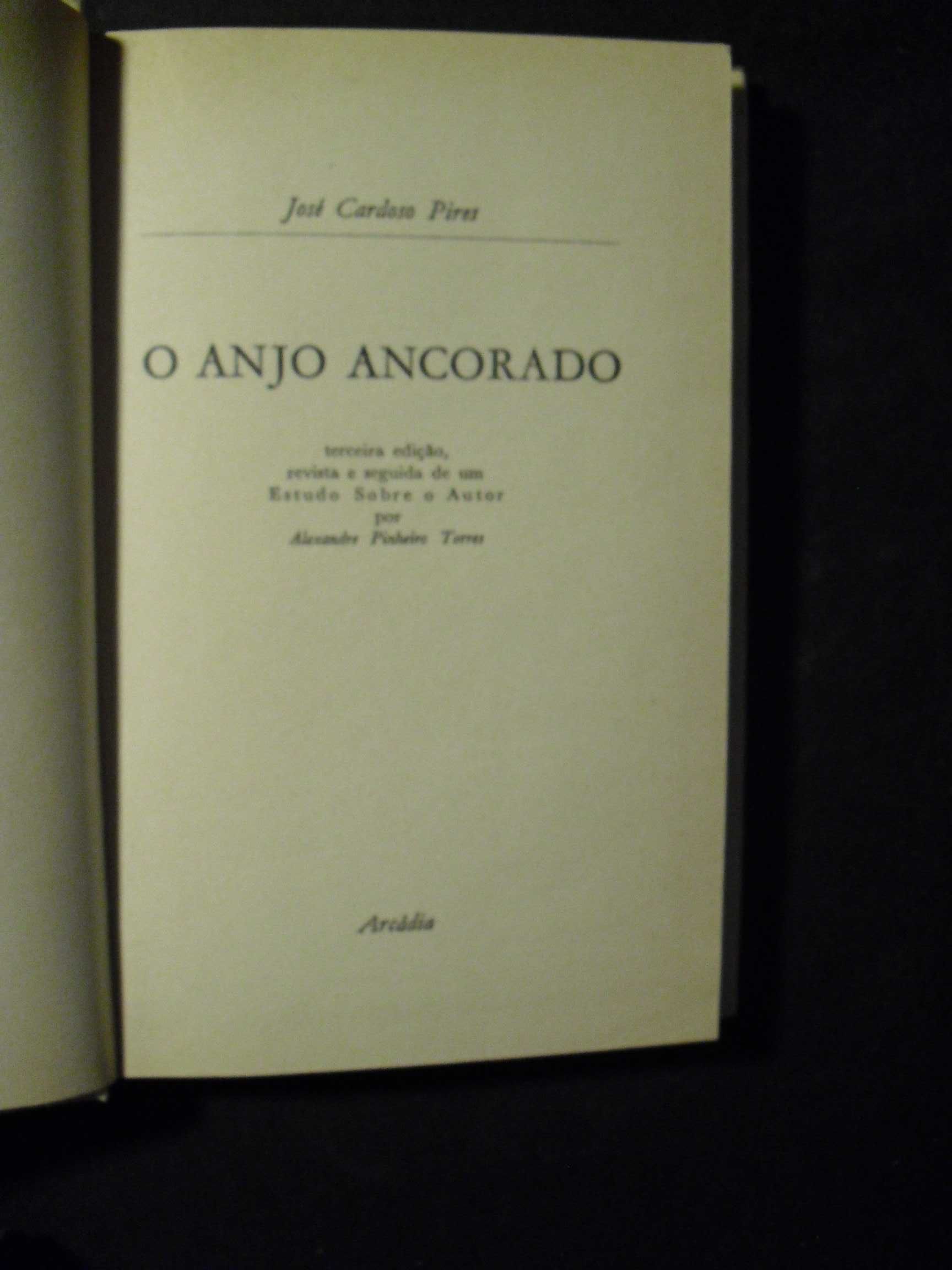 Pires (José Cardoso);O Anjo Ancorado