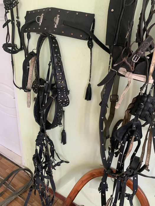 Продам лошадиную збрую бу.