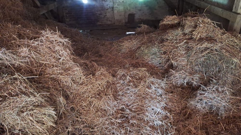 Oddam siano i słomę tylko całość