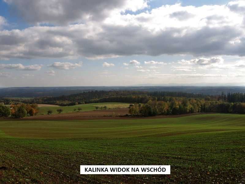 Sprzedam działkę - (Wzgórza Strzelińskie) – 1,1 ha z pięknym widokiem