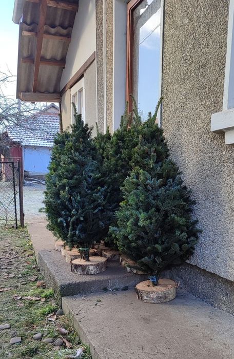 Плетені ялинки опт