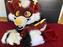 furry fursuit zestaw
