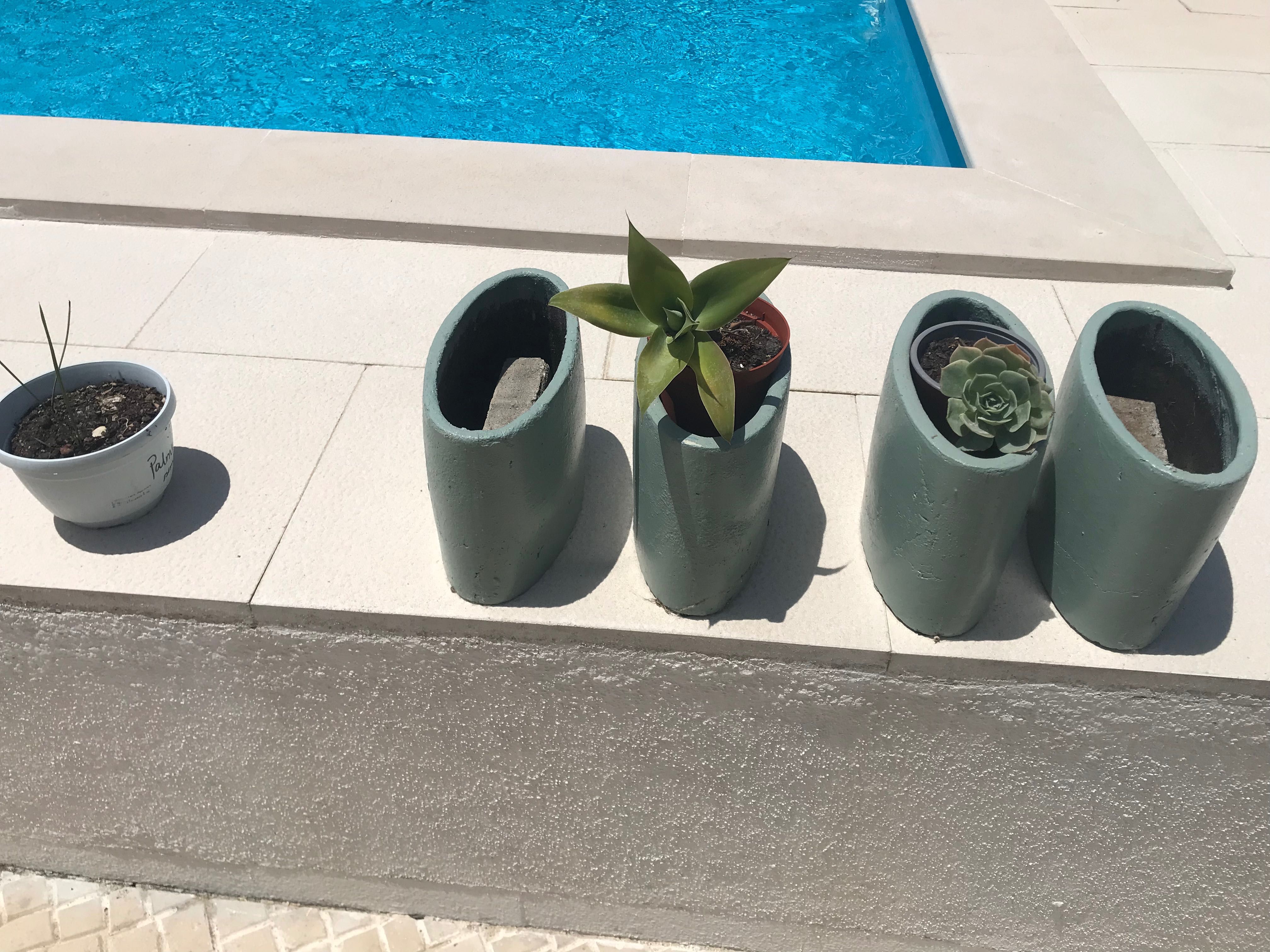 Vasos com plantas