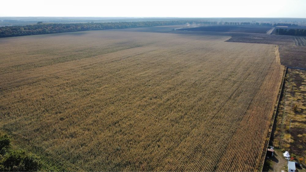 Продажа 50ГА ОСГ Калиновка без %