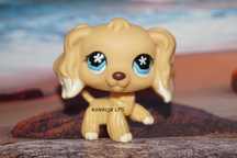 LPS Littlest Pet Shop spaniel 748 oryginalny target exclusive oryginał