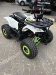 Quad 125 FX (automat)