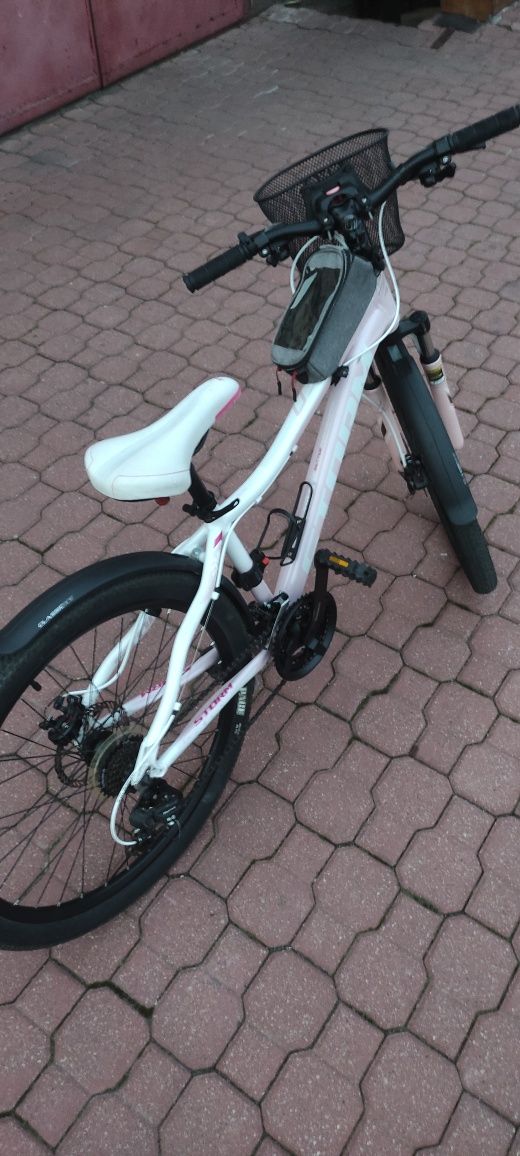 Rower Storm rama 15
