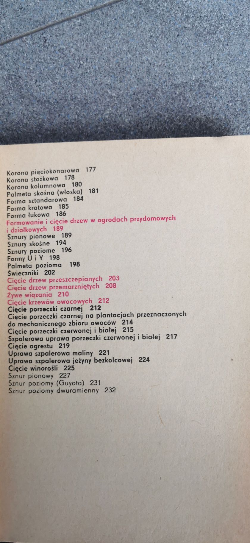 Cięcie drzew i krzewów owocowych Augustyn Mika