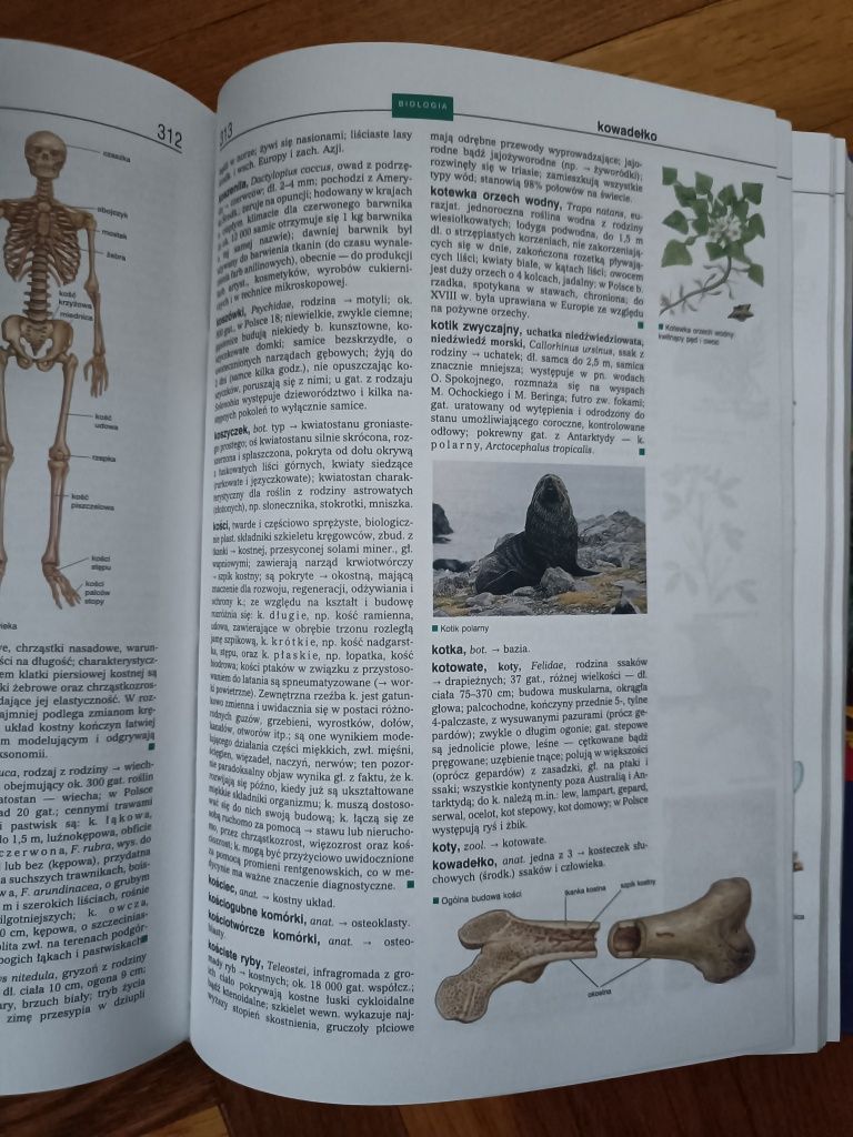 Biologia encyklopedia szkolna pwn