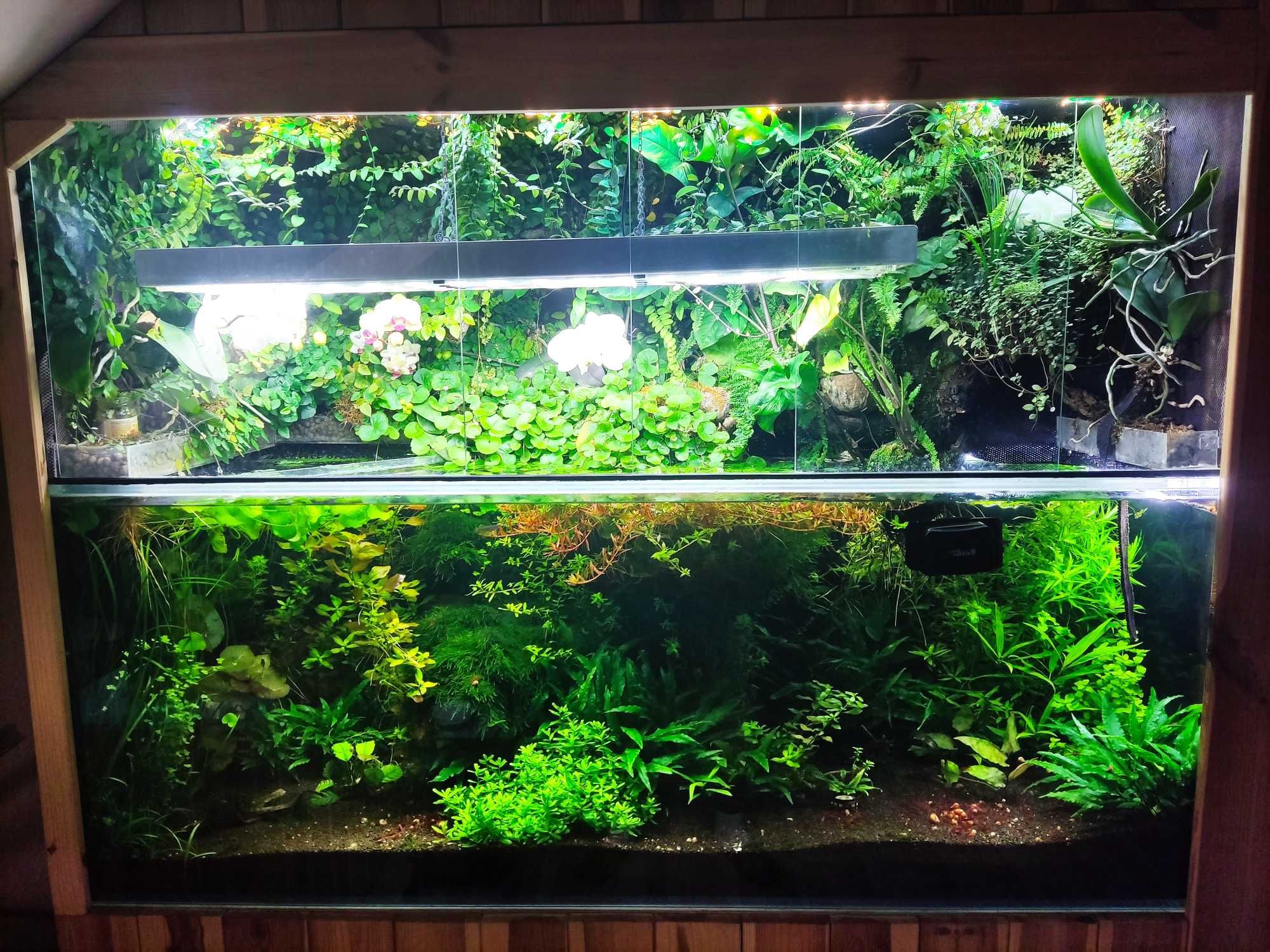 Oświetlenie akwarium, terrrarium