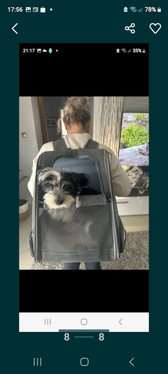 Plecak dla psa lub kota