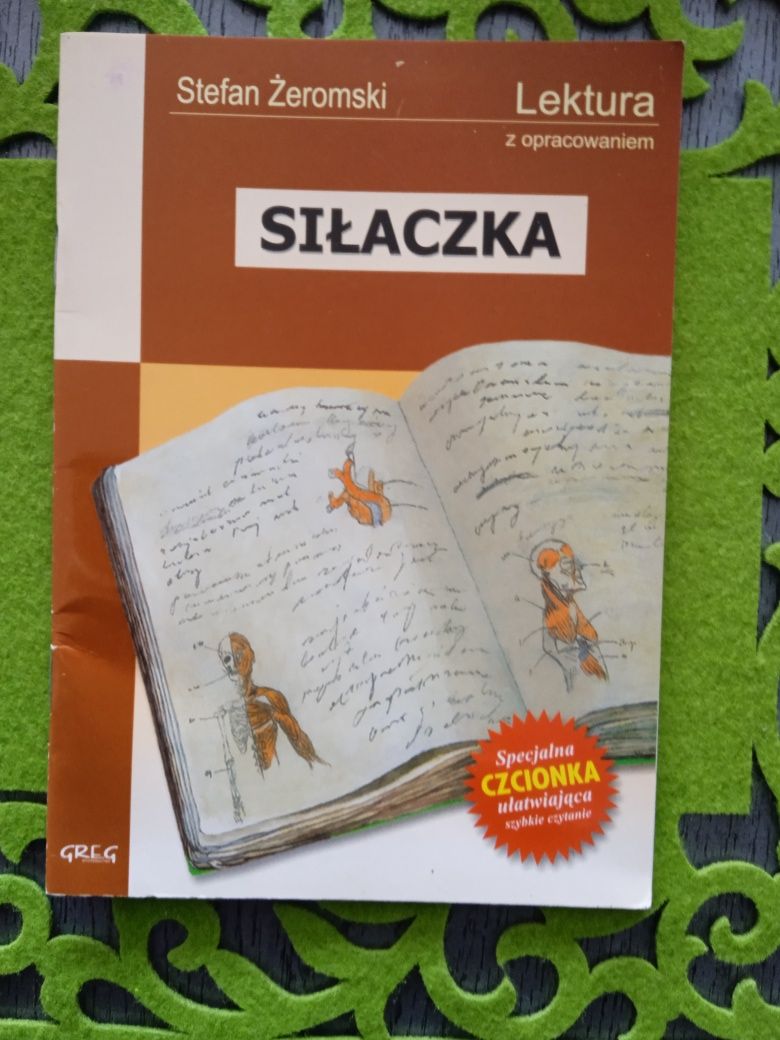 Siłaczka lektura szkolna z opracowaniem