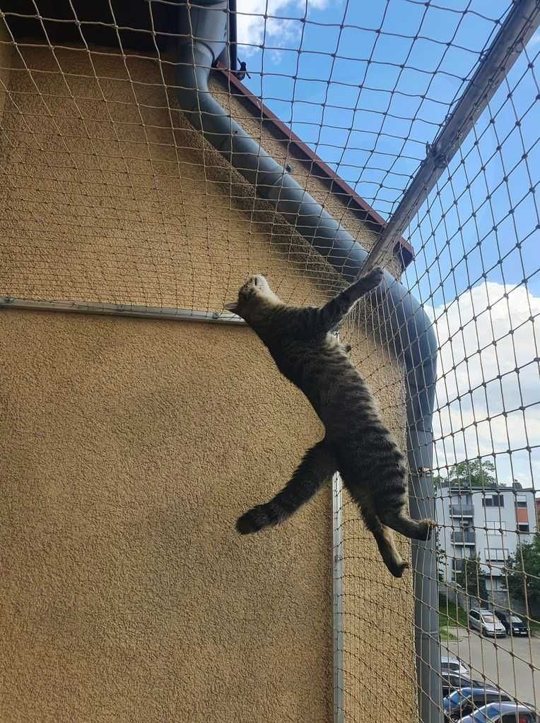 Siatka dla kota, siatka balkonowa, siatka przeciw ptakom na balkon