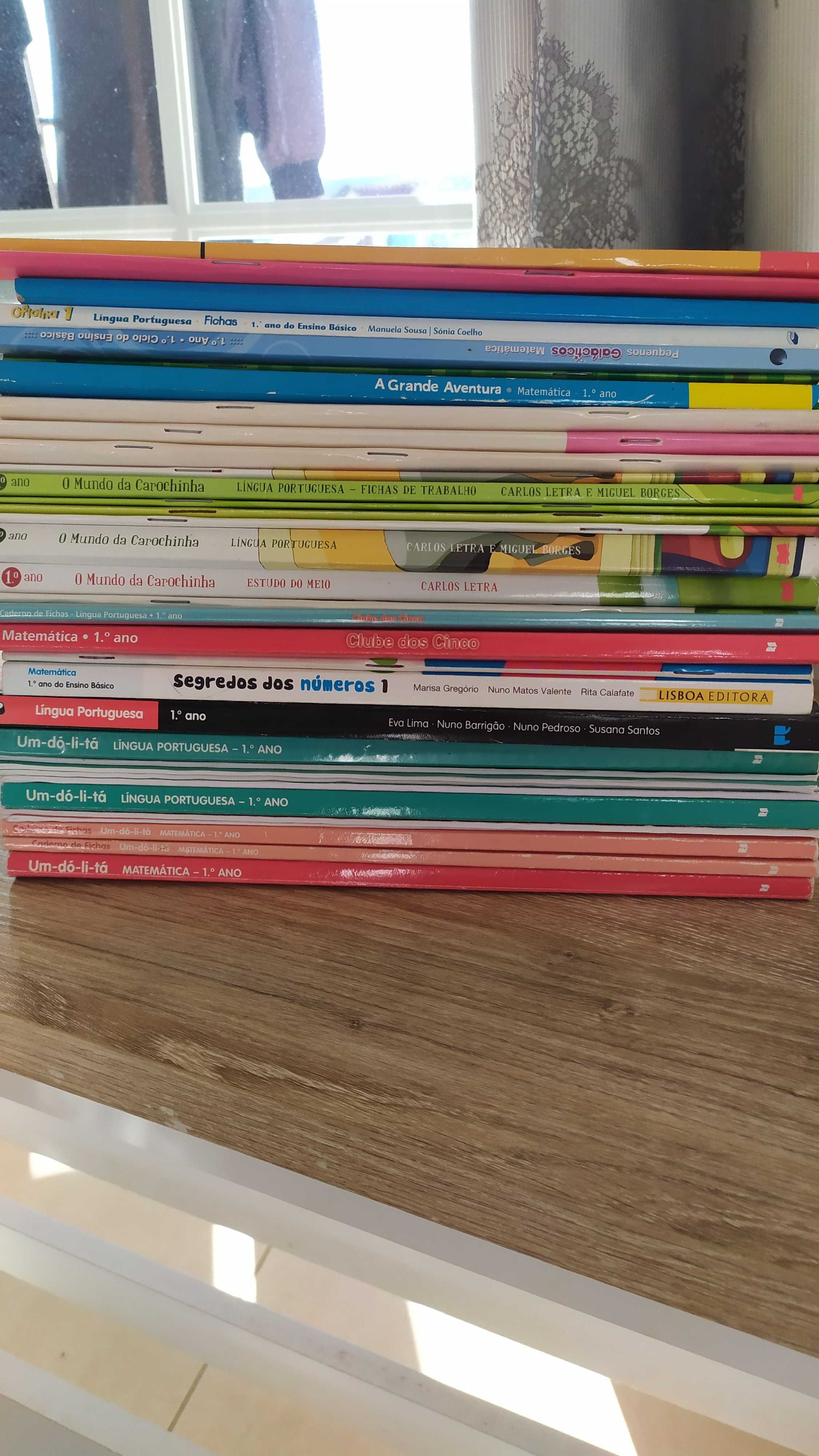 Livros, fichas de exercícios, etc. 1º ano
