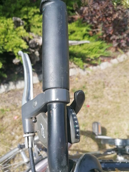 Gazelle Medeo rower męski