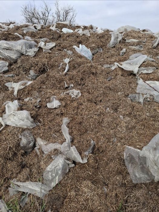 Грибной перегной