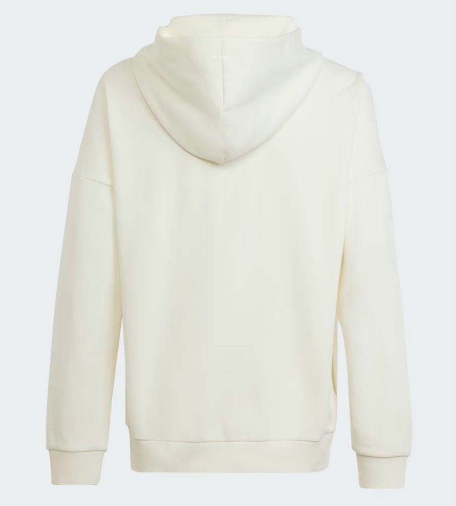 Худi Adidas Future Icon, Adidas ZNE, Puma, Nike