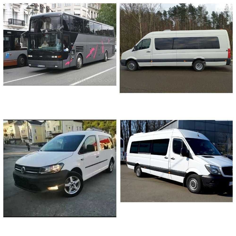 Заказ автобусов 58-56-50-20-18-6 мест услуги пассажирские перевозки