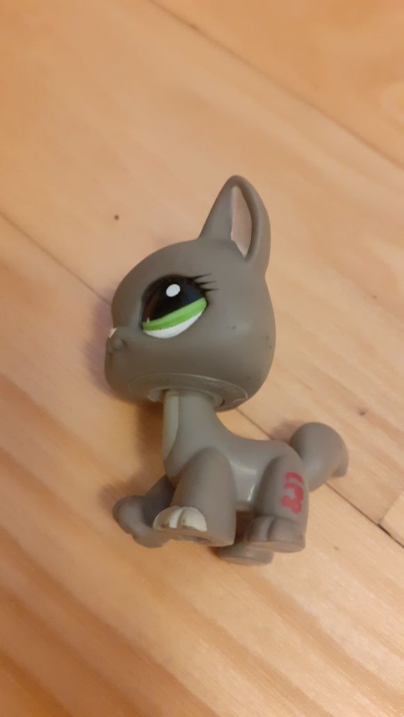 Littlest Pet Shop szary kot