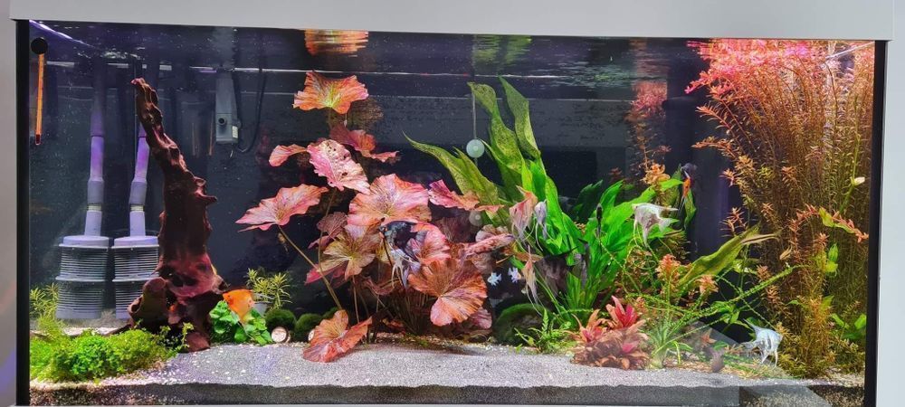 Lampa do Akwarium 80 cm Power LED - firma - na każdą długość akwarium