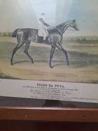 Quadro cavalo Antigo