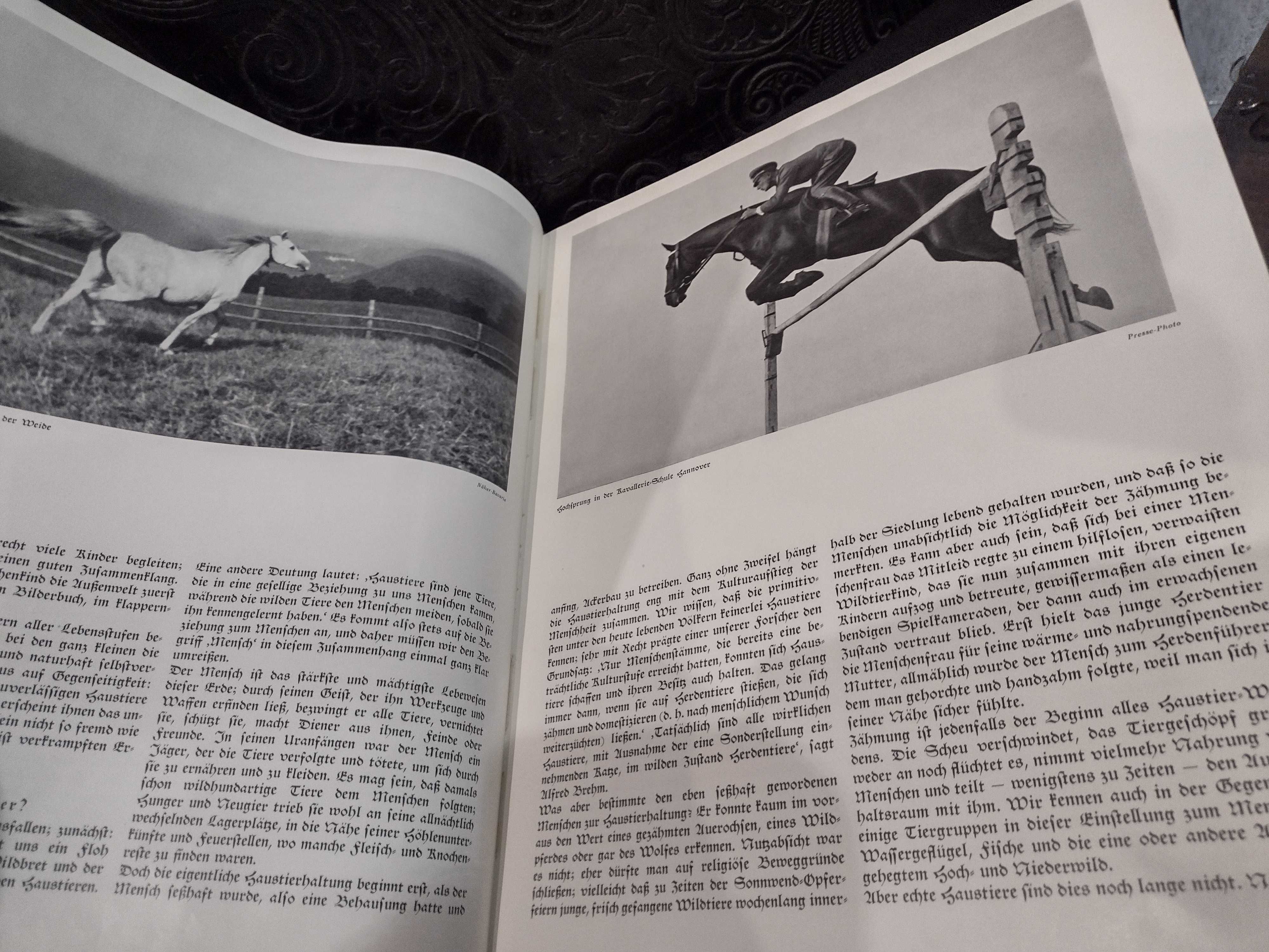 Paul Eipper 1938 Das Saustierbuch